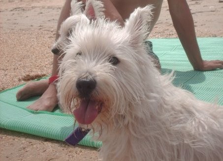 en la playa